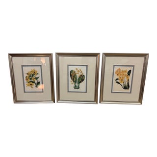 Yellow Botanical Art Prints, Set of Three For Sale