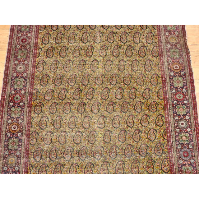Vintage Persian Tabriz Rug, Hand-Knotted Wool, Allover Paisley Pattern, Chartreuse & Red, 5x6 For Sale - Image 9 of 15