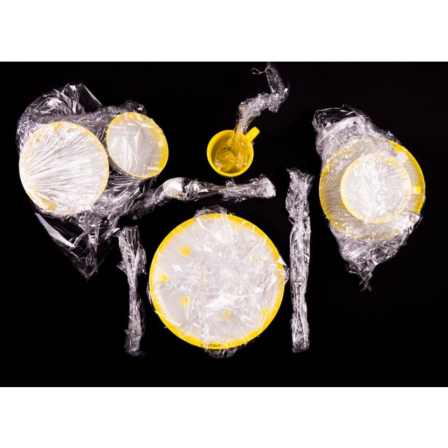 Rose Dots Porcelain Collection Plate from Litolff For Sale - Image 12 of 16