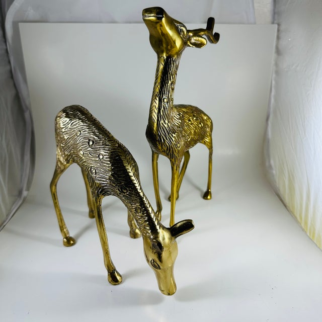 Set of Two Solid, Brass, Reindeer, Figurines, Statues Mid Century For Sale - Image 4 of 5
