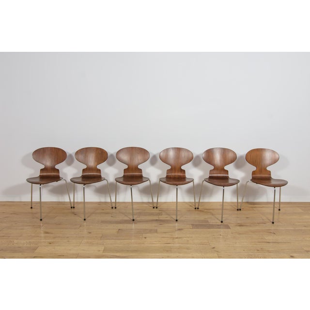 Mid-Century Modern Mid-Century Model 3101 Ant Dining Chairs by Arne Jacobsen for Fritz Hansen, Denmark, 1970s, Set of 6 For Sale - Image 3 of 18