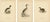 Antique Horned Grebe Bird Lithographs, Podiceps Auritus, 1929, Set of 3 For Sale