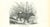 Tapir Pinchaque is an original lithograph on ivory-colored paper, realized by Paul Gervais (1816-1879). The artwork is...