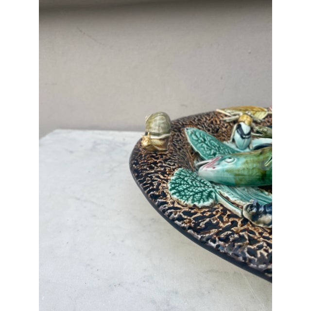 19th Century Majolica Palissy Wall Fish Platter Choisy Le Roi For Sale - Image 9 of 11