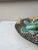 19th Century Majolica Palissy Wall Fish Platter Choisy Le Roi For Sale - Image 9 of 11