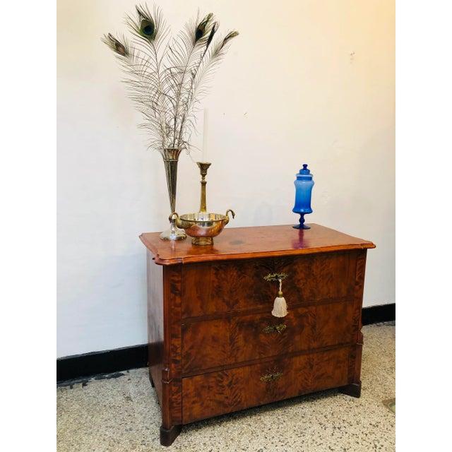 Brown Wilhelminian Dresser, 1870s For Sale - Image 8 of 11