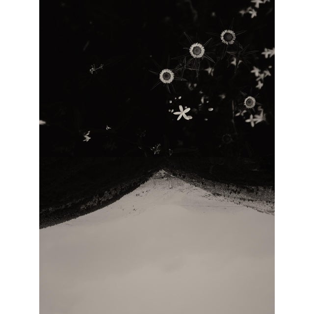 Gaia Diptych #128b by Jaume Llorens Bach is a 18cm x 24cm Black and White print on Premio Kozo gsm White Paper by Awagami...