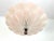 Art Deco 1940s Deco Pink Sunburst Flush Light For Sale - Image 3 of 17