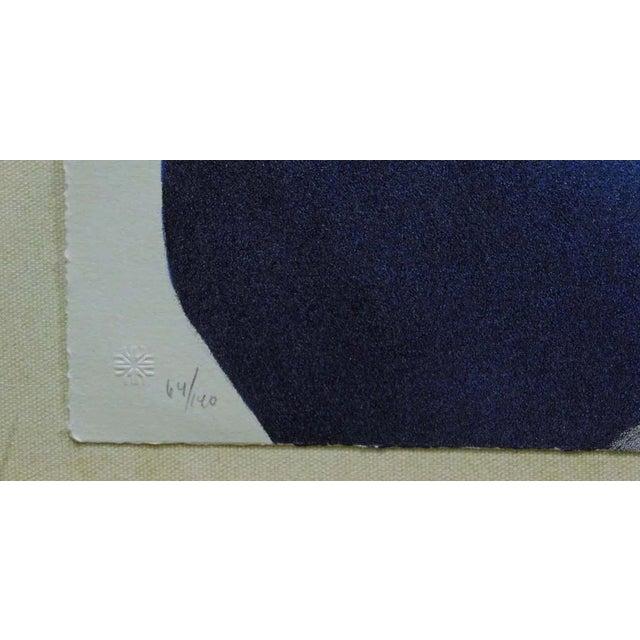 Frank Howell Lakota Woman Framed '92 Hand Signed Original Color Lithograph For Sale - Image 4 of 5