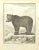 L'Ours Brun is an etching realized by Pierre Charles Baquoy in 1771. It belongs to the suite "Histoire naturelle, générale...