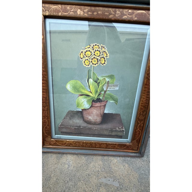 Set of 5 Stunning Botanical Framed Prints Signed and Numbered For Sale - Image 9 of 18