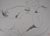 Alain Bonnefoit, Nude Woman, Original Drawing For Sale - Image 6 of 8