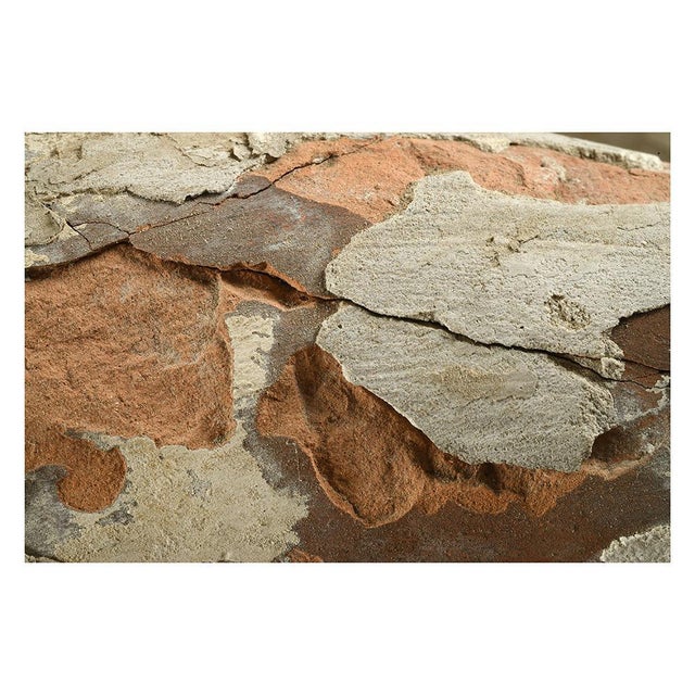 Ceramic Terracotta Lion Statues, Set of 2 For Sale - Image 7 of 11