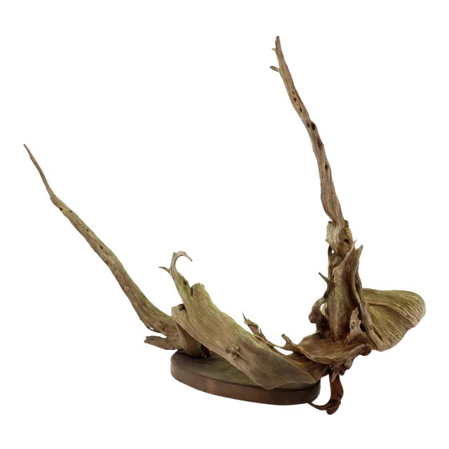 Large Natural Wood Fish Shape Driftwood Sculpture Artist Signed For Sale