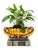 Brilliant, mid-century centerpiece bowl designed by Russel Wright for Freeman McFarlin, made in California. This...