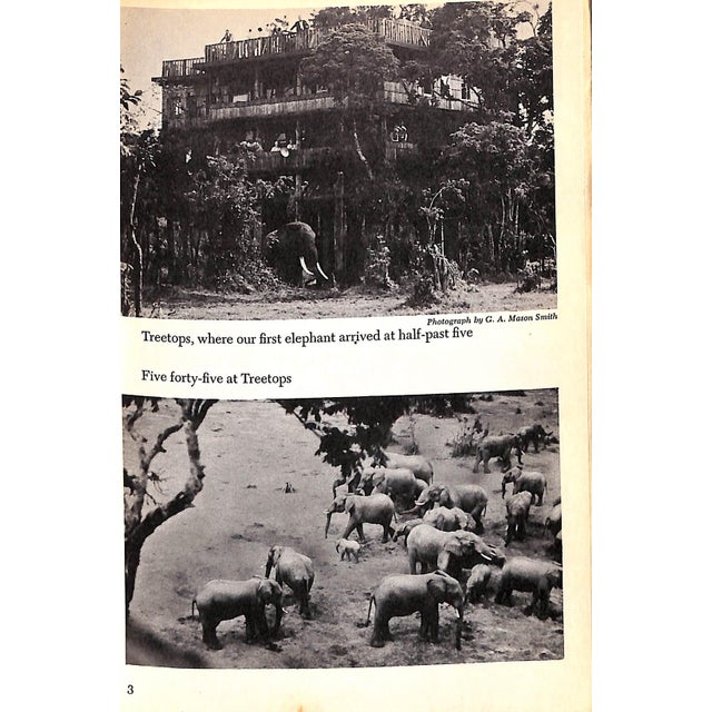 1960s "Elephants Arrive at Half-Past Five" 1963 Chase, Ilka For Sale - Image 5 of 8