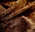 The House of Scalamandre Scalamandre "Tiziano" Sable Brown Textured Velvet- 4.25 Yards For Sale - Image 4 of 5