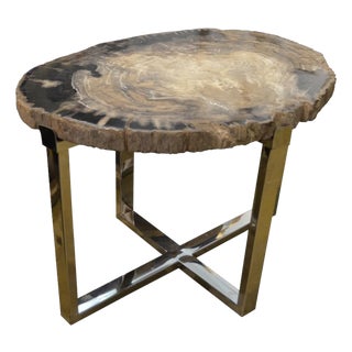 Andrianna Shamaris Petrified Wood Slab Side Table For Sale