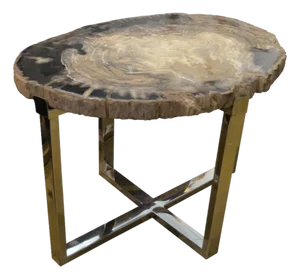 Andrianna Shamaris Petrified Wood Slab Side Table