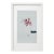 Framed Organic Modern Minimalist Flower Study | Botanical Painting | Herbarium Wall Art For Sale