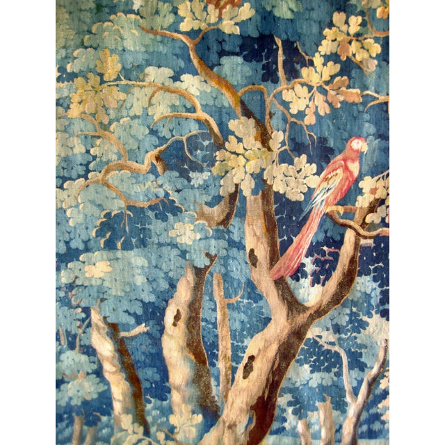 The taste of exoticism was very in vogue in the 17 hundreds a privilege of the rich and famous that would have the...