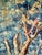 The taste of exoticism was very in vogue in the 17 hundreds a privilege of the rich and famous that would have the...