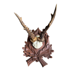 Roe Deer Trophy 183 Black Forest Antlers Mount