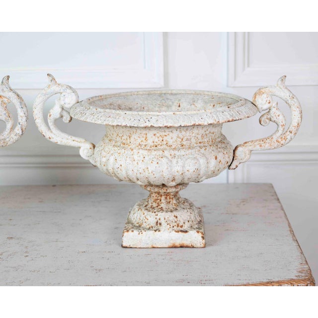 Metal Pair of English 19th Century Cast-Iron Garden Urns For Sale - Image 7 of 13