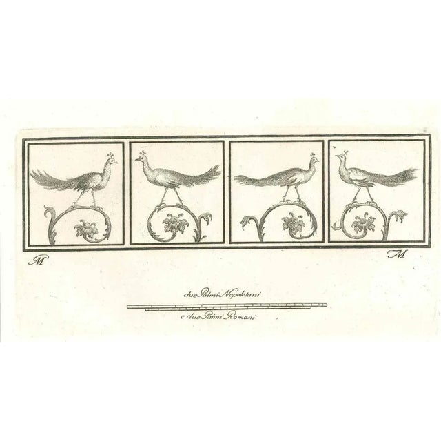 Birds from the series "antiquities of herculaneum", is an original etching on paper realized in the 18th century by...