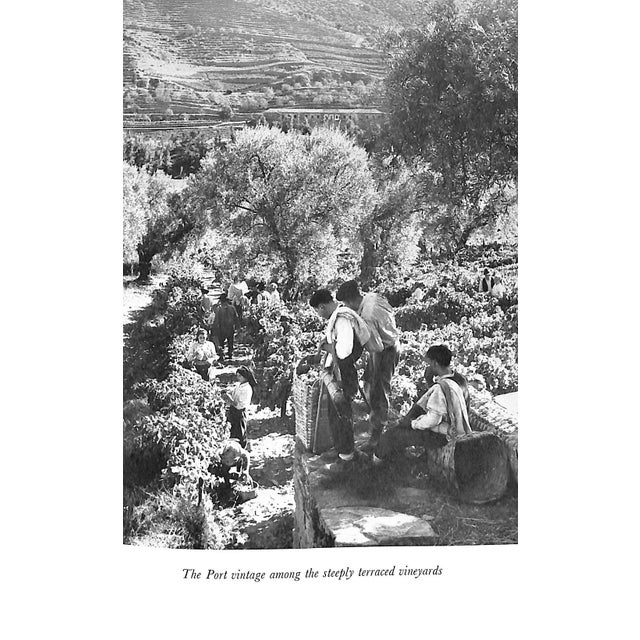 "Wines, Spirits and Liqueurs" 1959 Shepherd, C. W. For Sale In New York - Image 6 of 12