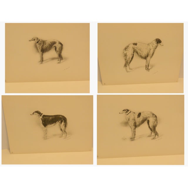 Rare 1934 Limited Edition Borzoi Portfolio: 28 Lithographs For Sale - Image 12 of 15
