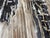 2010s Andrianna Shamaris Live Edge Petrified Wood Dining Table For Sale - Image 5 of 18