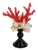 Mediterranean Italian Majolica “Frutti Di Mare” Coral & Shell Centerpiece Sculpture For Sale - Image 3 of 8