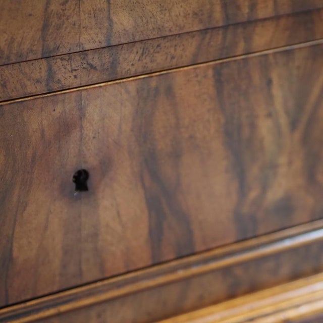 Louis Philippe Chest of Drawers in Walnut Burl, 1860 For Sale - Image 6 of 18
