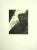 The owl is an original etching print realized by Leo Guida in 1972. From the edition of 30 prints. Good condition. Leo...