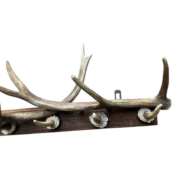 Cabin 1940s German Antler Hanging Rack Hats Clothes For Sale - Image 3 of 6