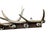 Cabin 1940s German Antler Hanging Rack Hats Clothes For Sale - Image 3 of 6