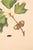 Oak Leaf & Acorn Study With Moths, 1797 Vintage Art Print Reproduction, 16" X 24" For Sale In Buffalo - Image 6 of 10