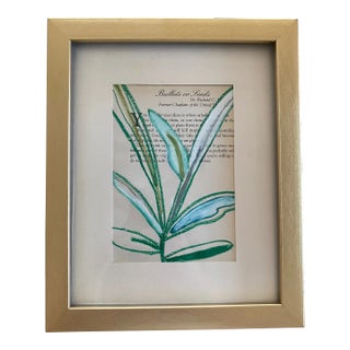Botanic Oil Pastel Drawing For Sale
