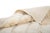 Raised Organic Embossed Hand-Knotted Wool Rug | 11'2" X 6'11" | One of a Kind For Sale - Image 6 of 10