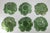 Mid-Century Set of 6 Green Cabbage Luncheon Plates by Secla Portugal For Sale - Image 10 of 18