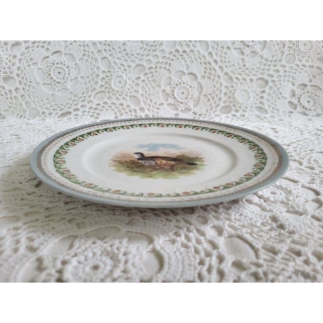 1940s 1940s Austria Hub Porcelain Plate With Pheasant For Sale - Image 5 of 6
