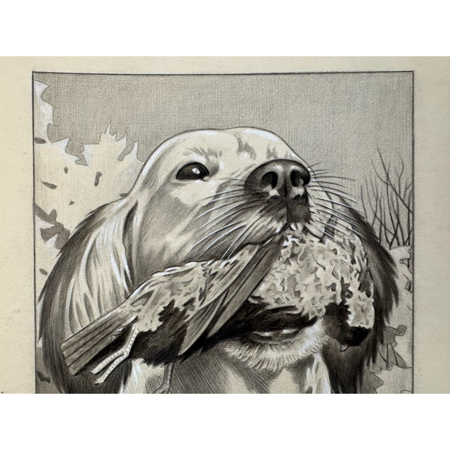 Original graphite pencil drawing by American artist and illustrator Theodore E. Schrock (1879–1952), depicting a retriever...