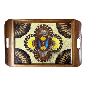 Vintage Mid Century Brazilian Butterfly Inlaid Wood Tray