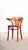 Honey Red Fan Back Dining Armchair, 1970s For Sale - Image 4 of 14