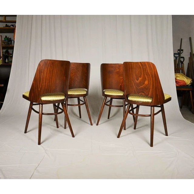 Expo 58 Dining Chairs by Oswald Haerdtl for Ton, 1950s, Set of 4 For Sale - Image 14 of 18