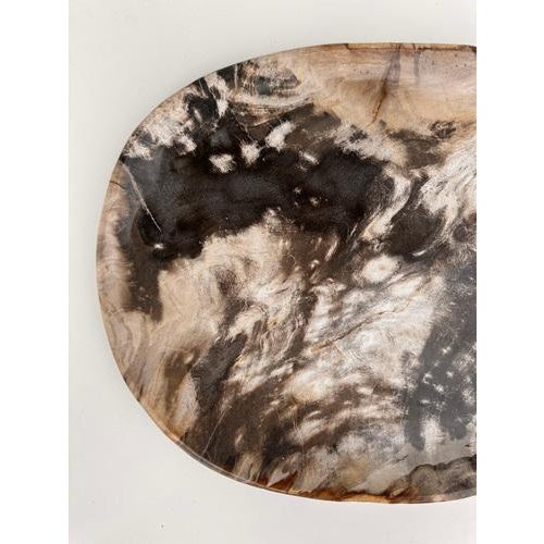 Very Large Vide-Poche or Dish in Petrified Wood For Sale - Image 13 of 18