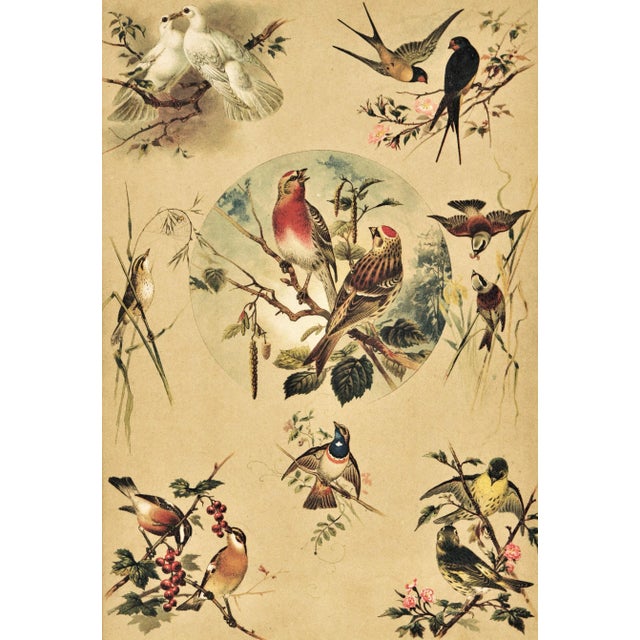 This is a matted c 1880s chromolithograph from an unbound collection of images of designs of nature. Published in France,...