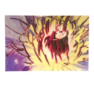 Contemporary Modernist Botanical Photograph Print Framed in Acrylic For Sale