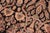 Shabby Chic 1990's Pak-Persian Black/Gold Wool Rug - 5'11'' X 8'11'' For Sale In New York - Image 6 of 9